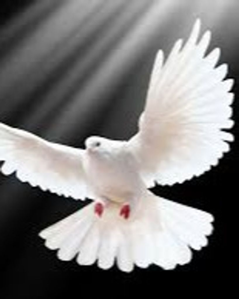 James Steven Sanchez Jr