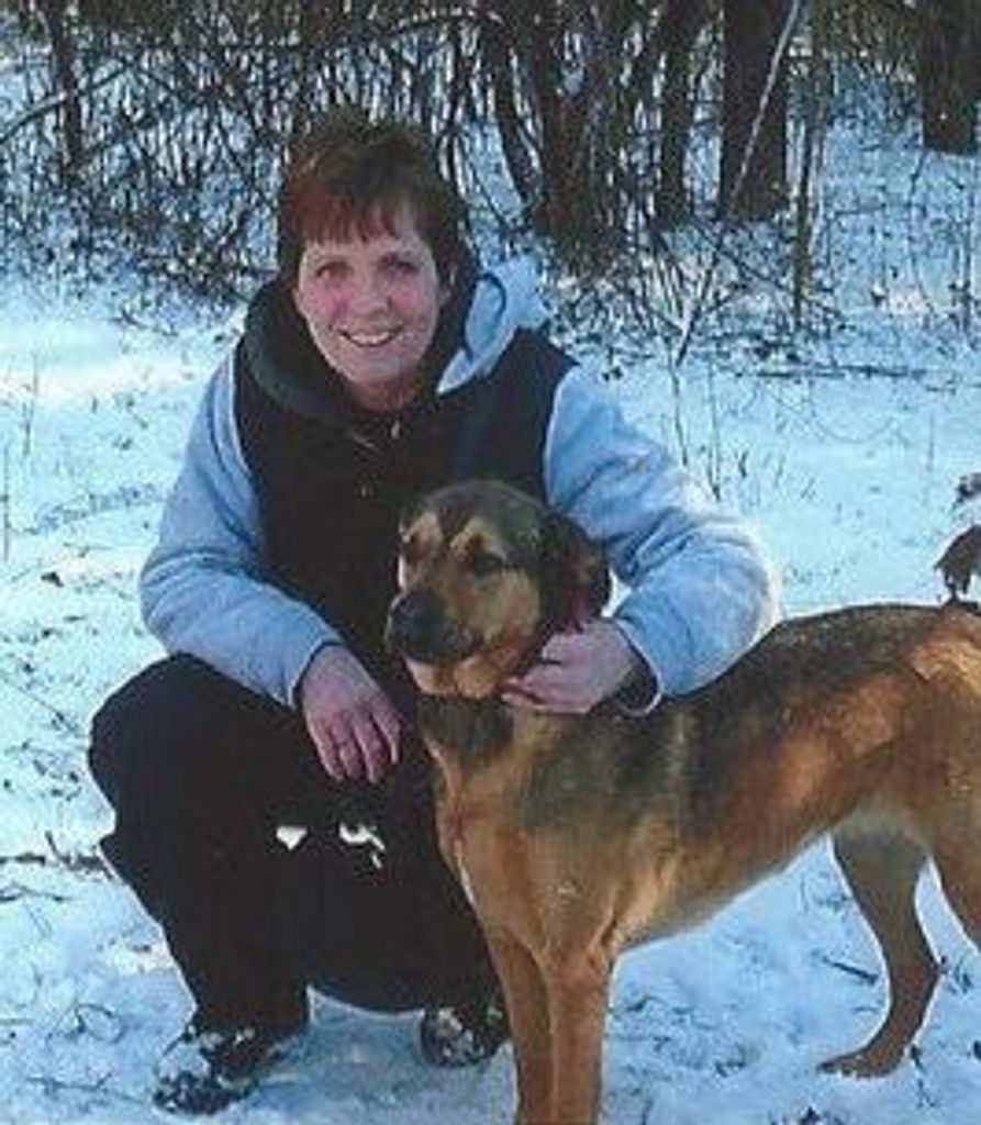 Terry Marshall Profile Photo