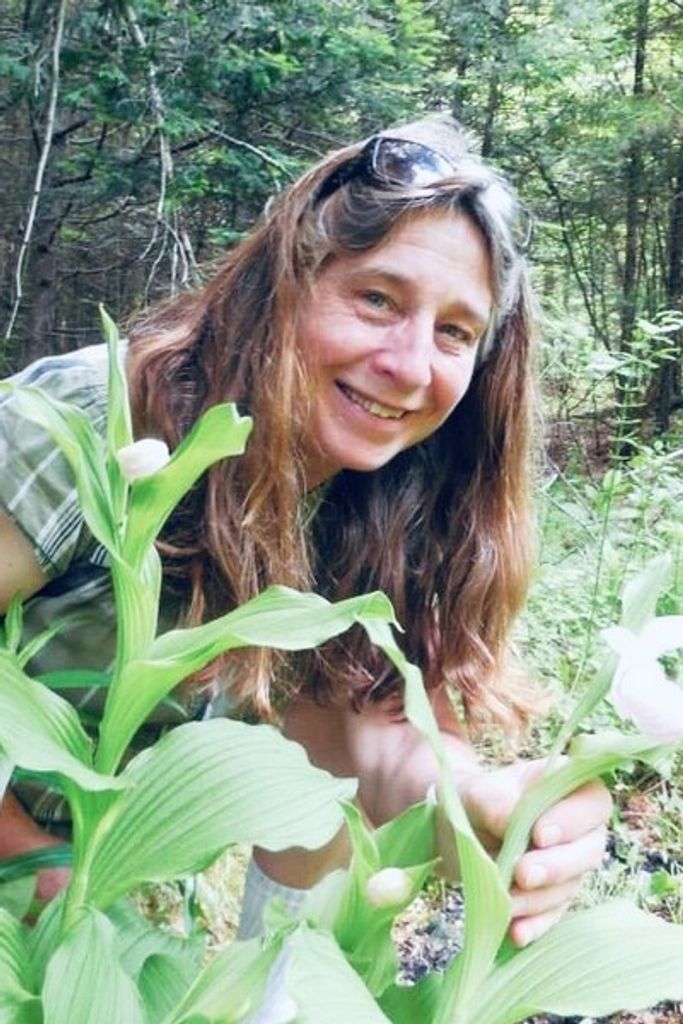 Marilyn J. Johnson