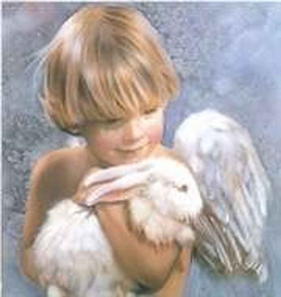 Angel Katina Sochia