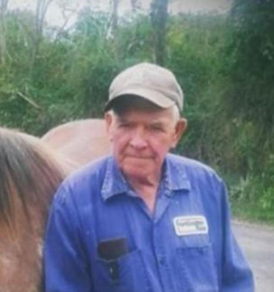 Merl Williamson Profile Photo