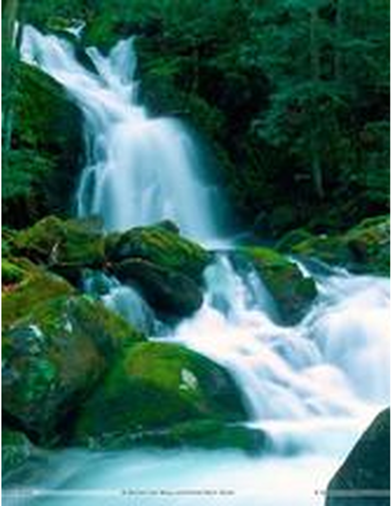 William "Rusty" Russell Breeden, Sr