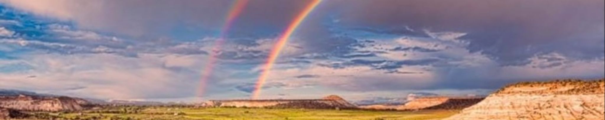 Cover for Judith Davis's Obituary