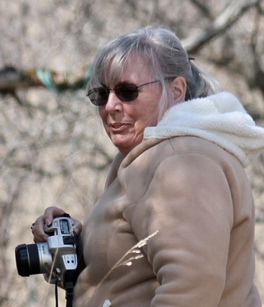 Linda M. Clements