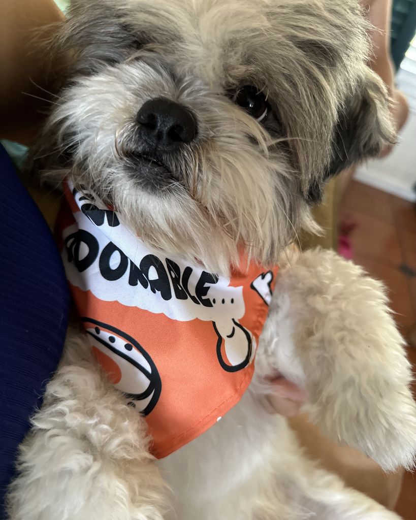 Coco Portillo Profile Photo