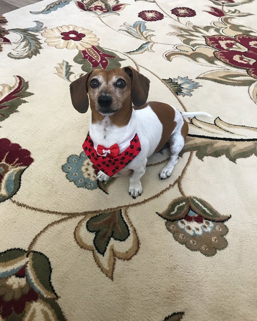 Jazzy Bisagno Profile Photo