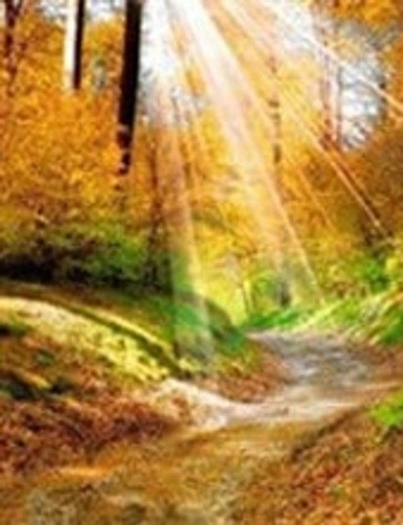 William Arthur Campbell Iv