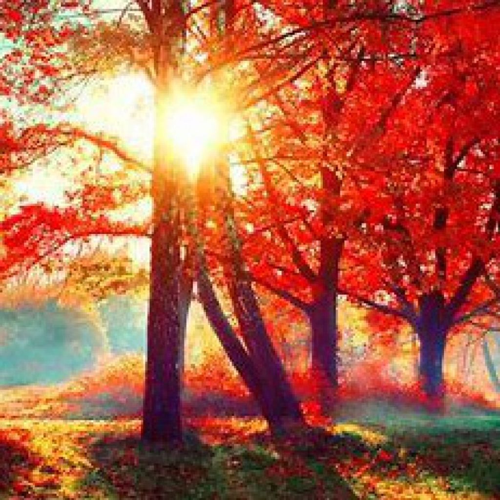 Gene Douglas Rehm Profile Photo