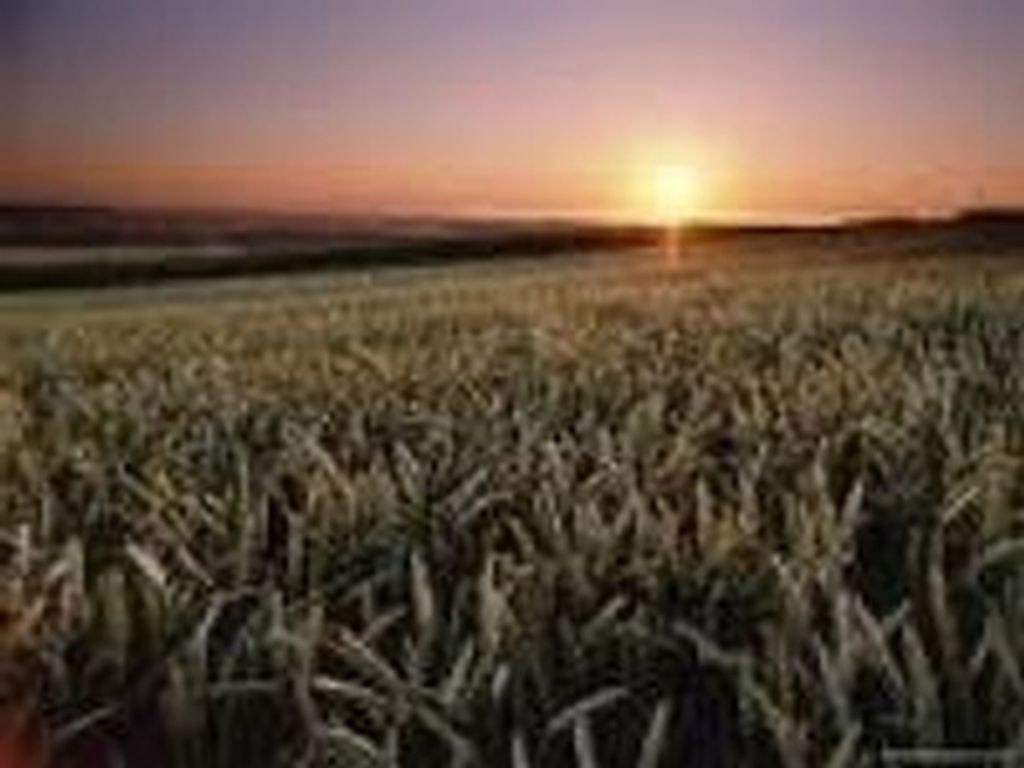 Reverend George Waldner