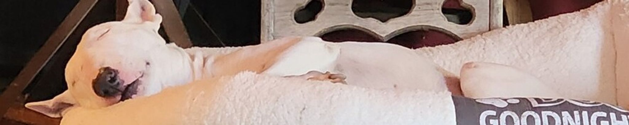 Cover for Sancho Hattenbach's Obituary