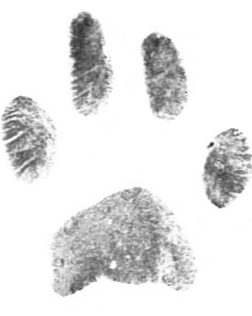 Herman Dunlap Profile Photo
