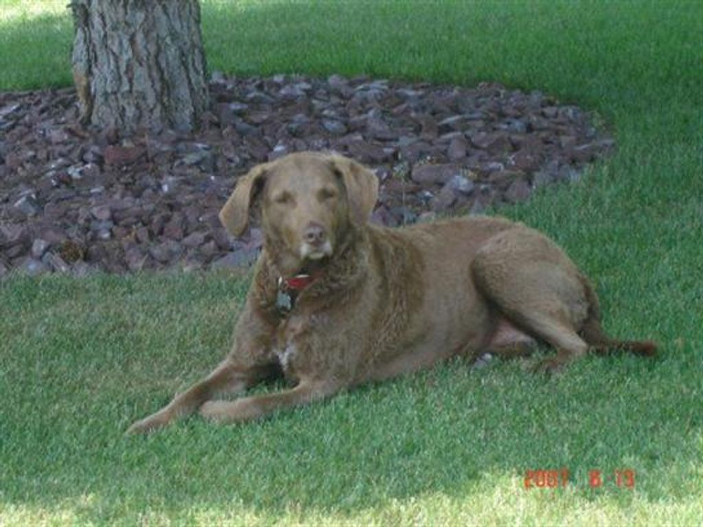 Boo Fabry Profile Photo