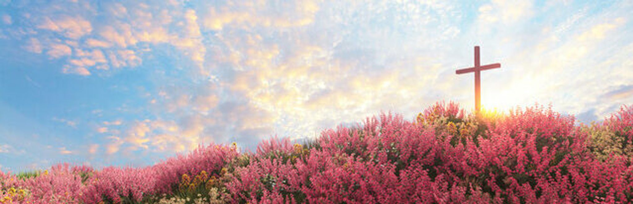Cover photo for Kayleen Melissa Davis's Obituary