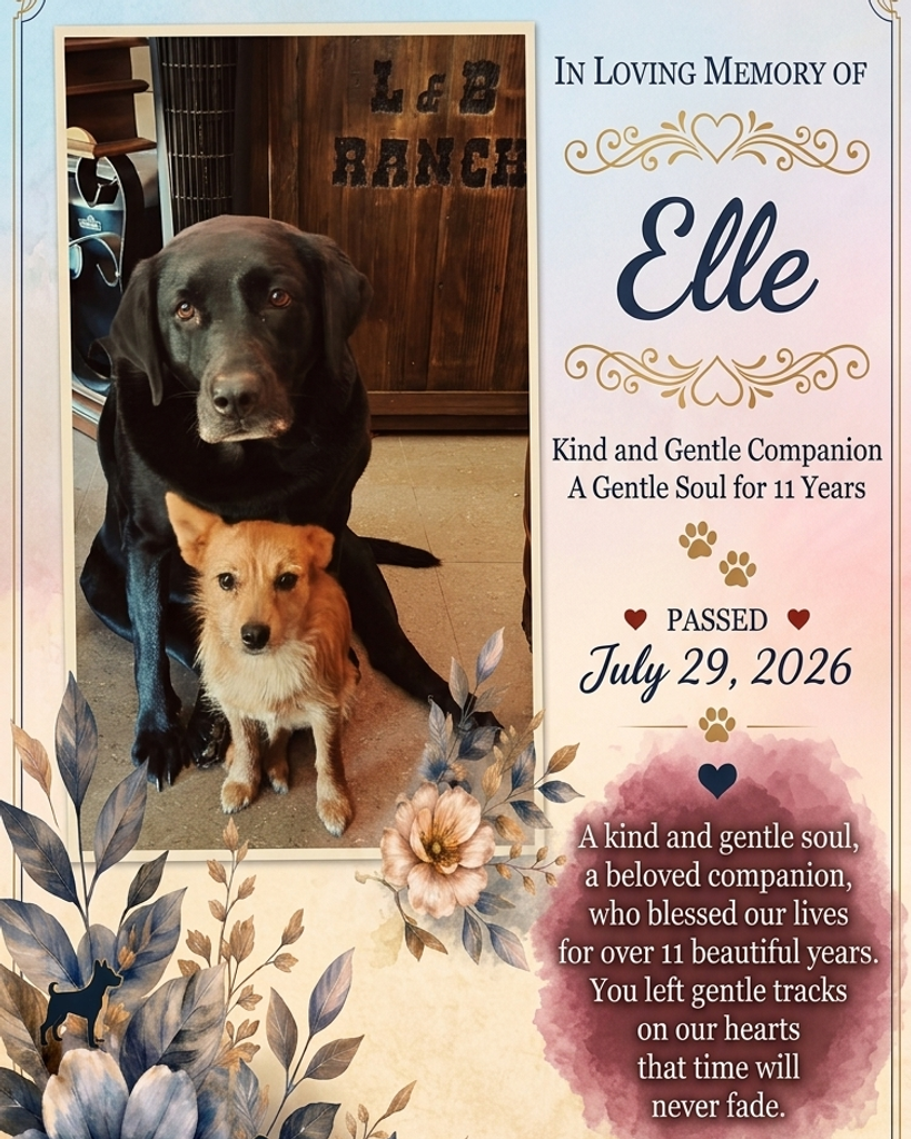 Elle Profile Photo
