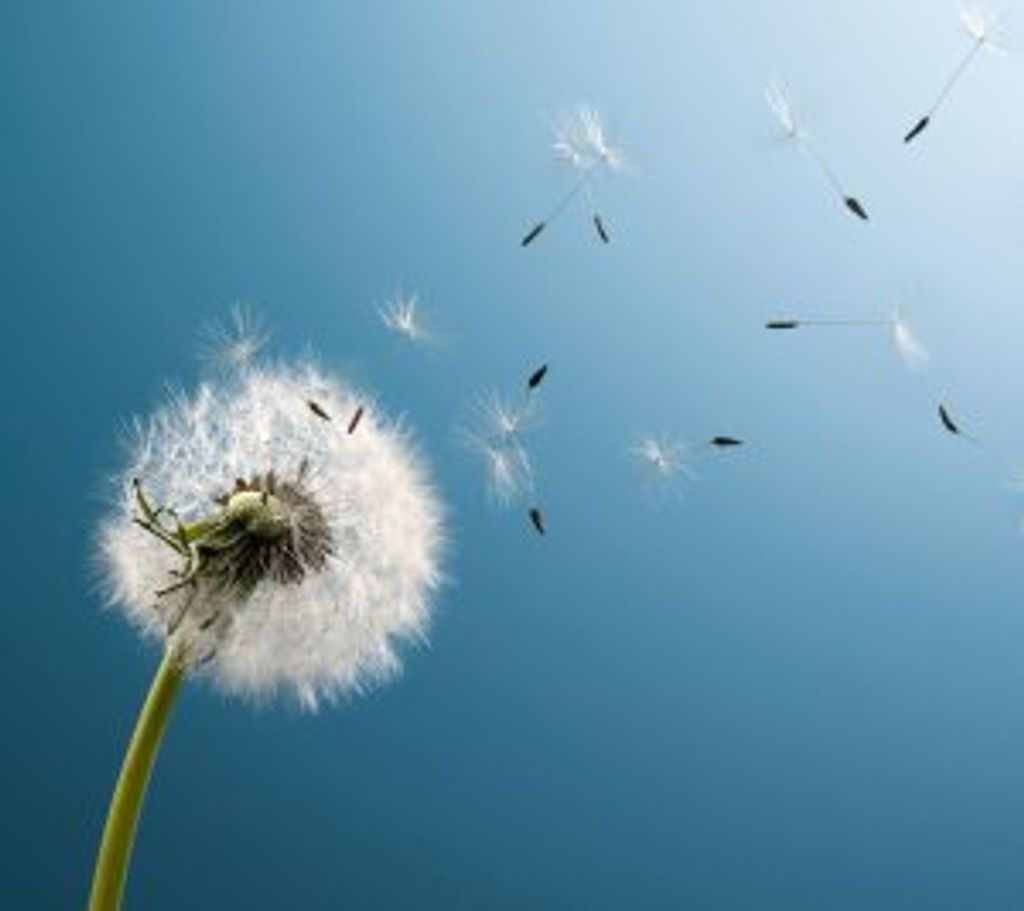 Christopher Campbell