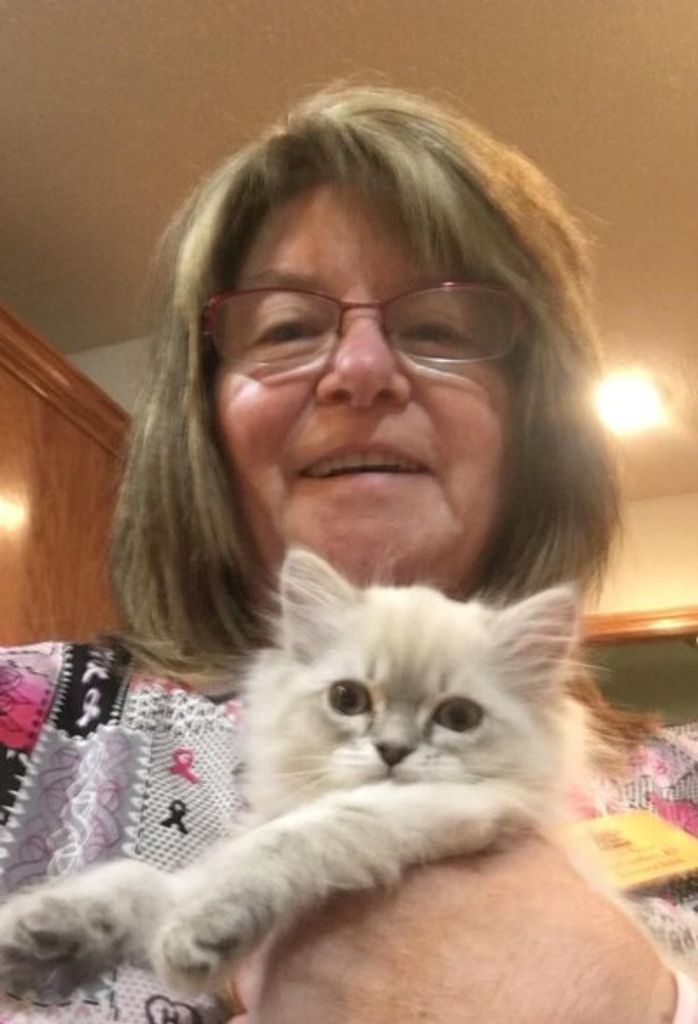 Lisa Gardner Profile Photo