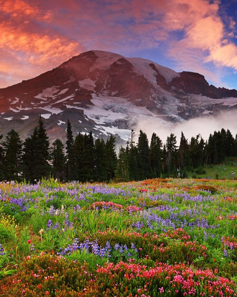 Gertrude S Perkins Profile Photo