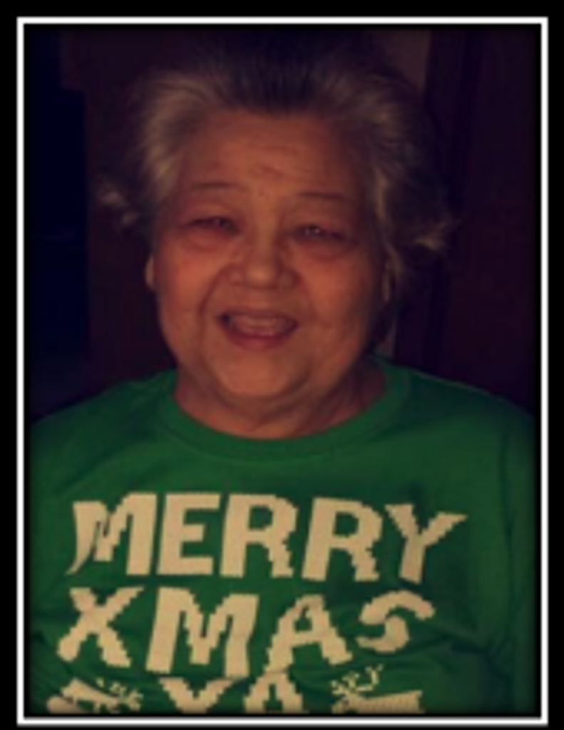 Shirley Ann Lamkpin
