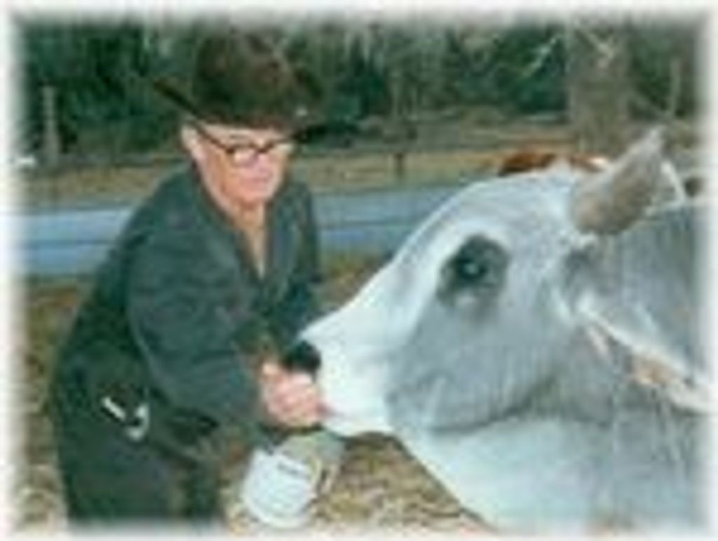 Ludwig Emil Pustejovsky