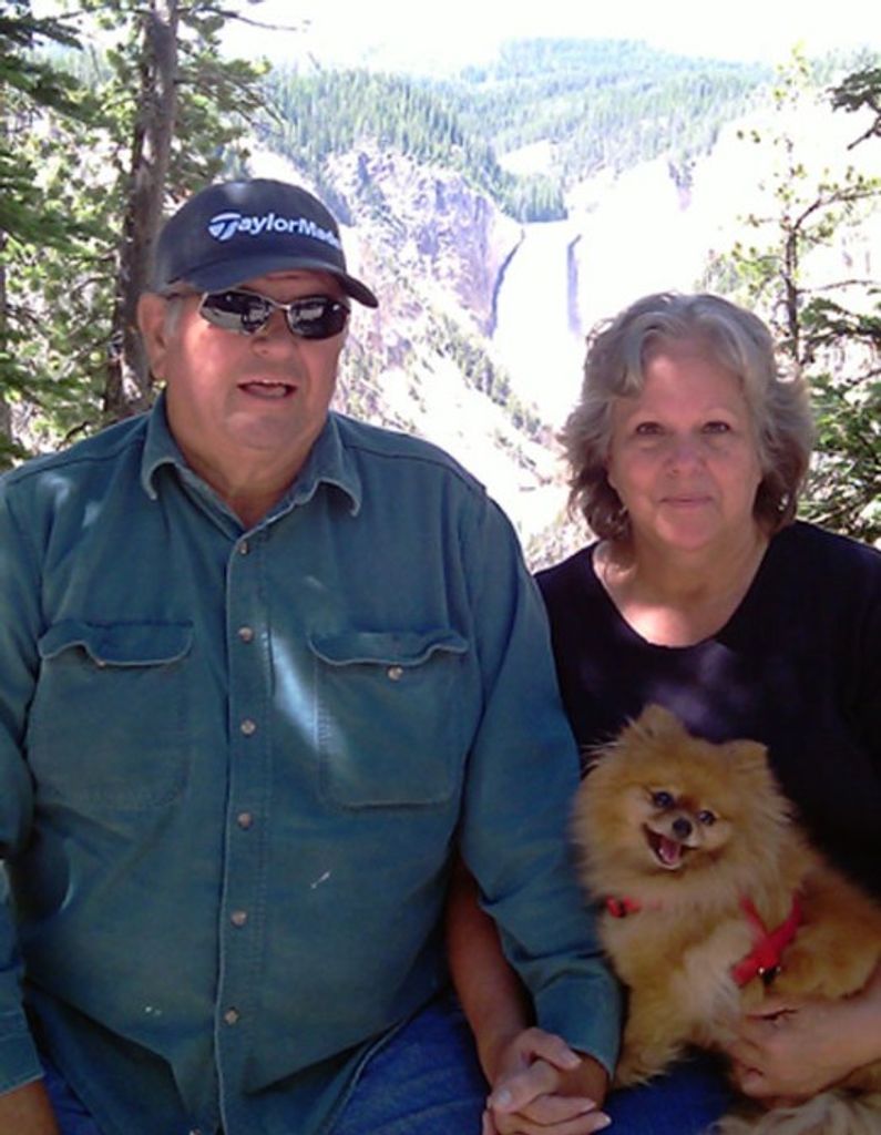 David Mattson Profile Photo