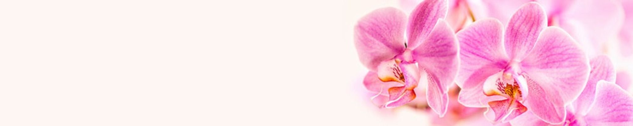 Cover for Marie Yvonne Maragna's Obituary
