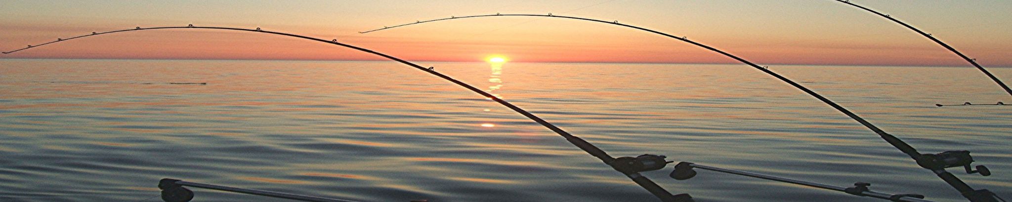 Cover for Shirley Ann Crawford's Obituary