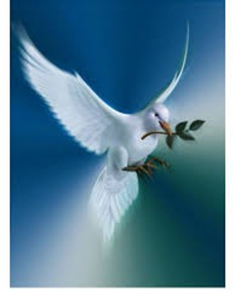 Patricia Steiner Profile Photo