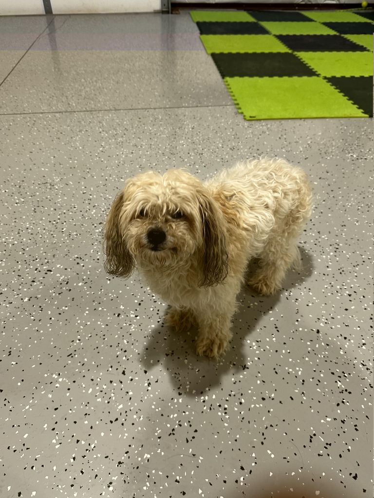 Happy Profile Photo