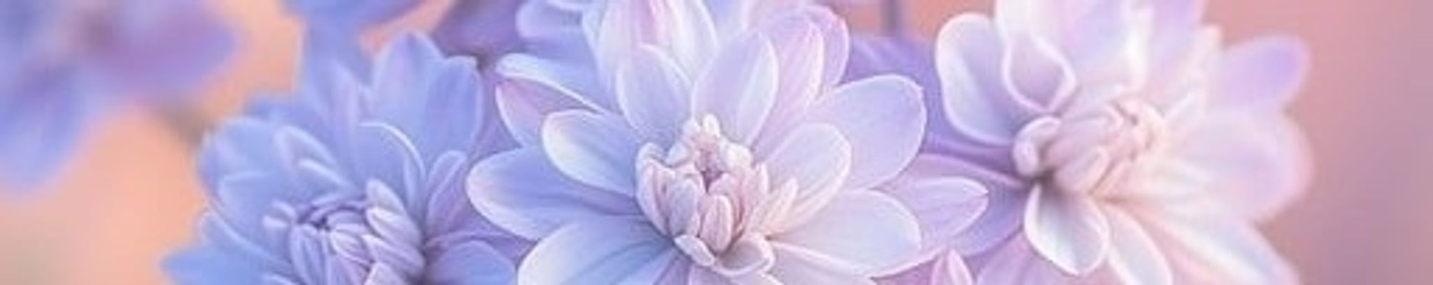 Cover for Marie Shaw's Obituary