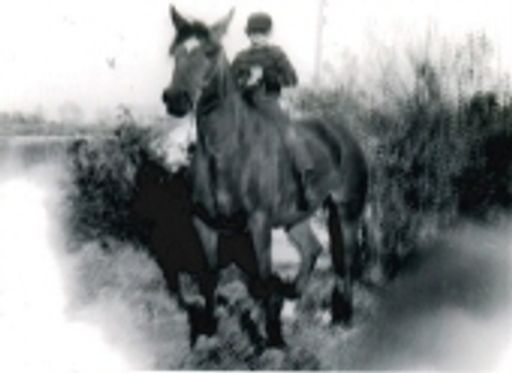 Glen Walter Horsch photo gallery thumbnail 60 of 62