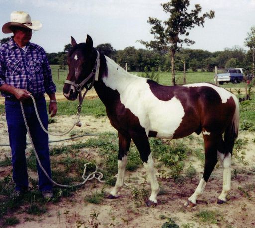 Fred Otto Kraatz photo gallery thumbnail 38 of 117