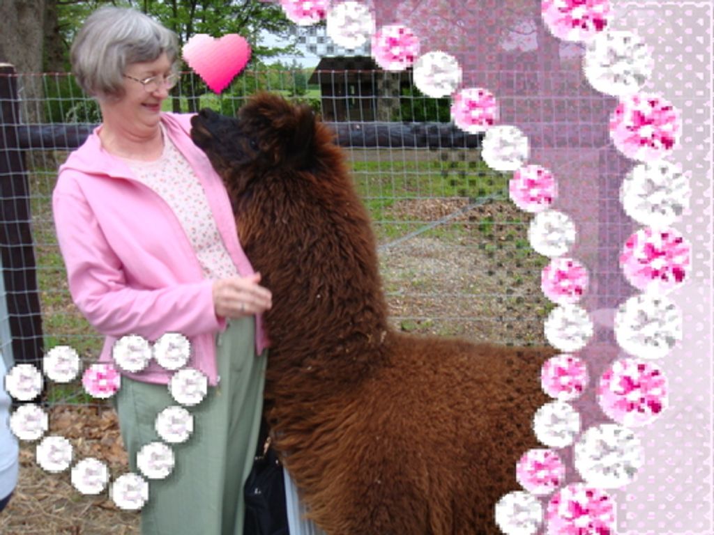 Loretta Lee Surface Profile Photo