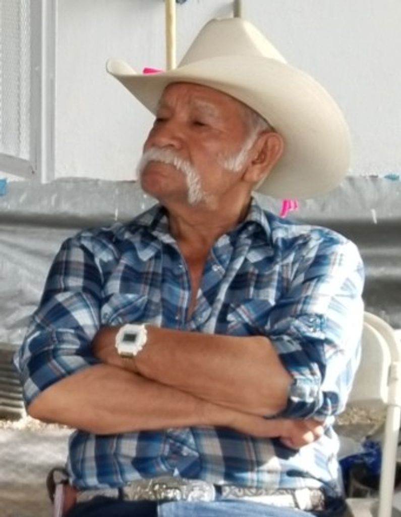 Luciano Fernandez Flores