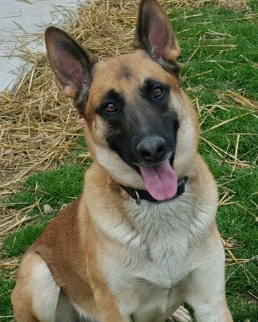 Koa "Bean" Wharry Profile Photo