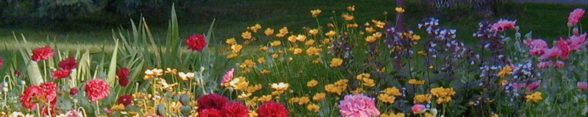 Cover photo for Carol Courtney's Obituary