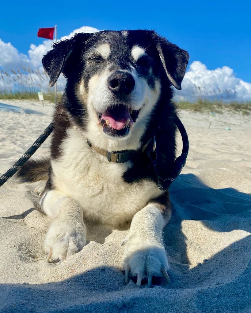 Jasper Allf Profile Photo