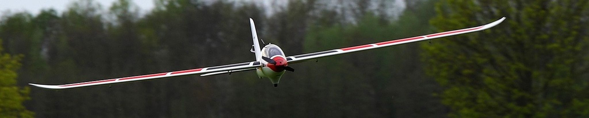 Cover for Raymond J. Teliczan, Jr.'s Obituary