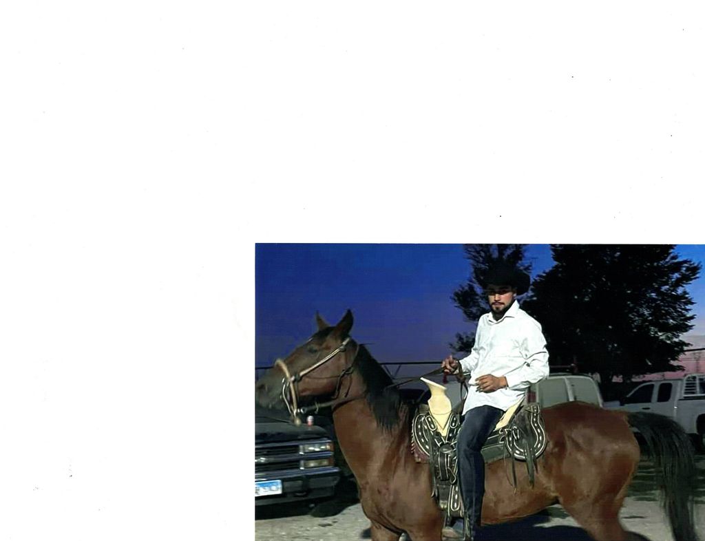Carlos Diaz Jr. Profile Photo