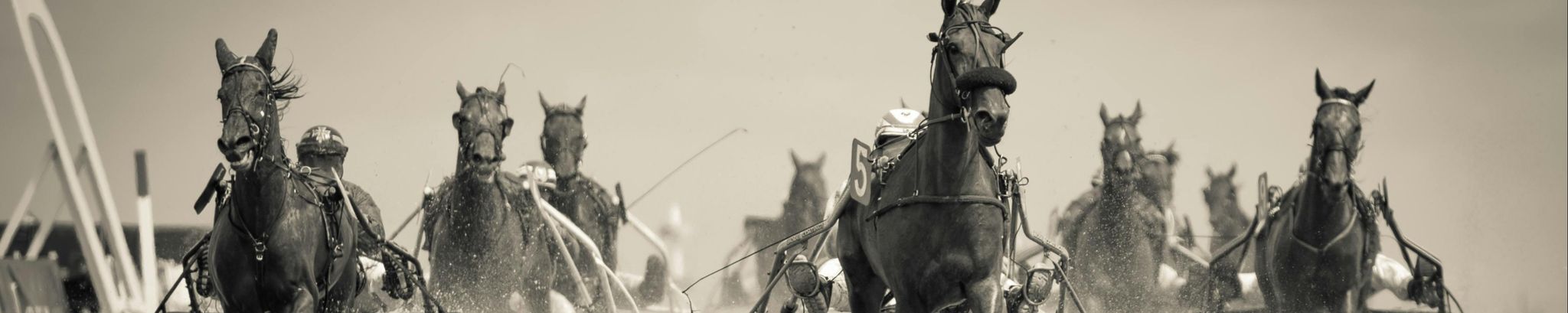 Cover for Frederick J. Palermo's Obituary