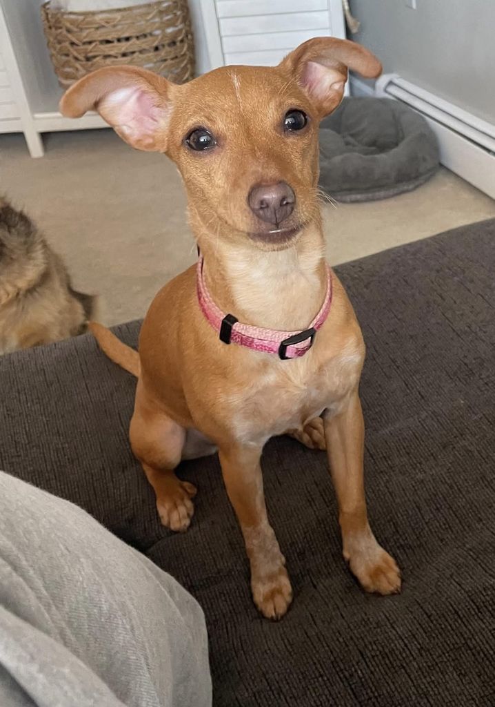 Ellie