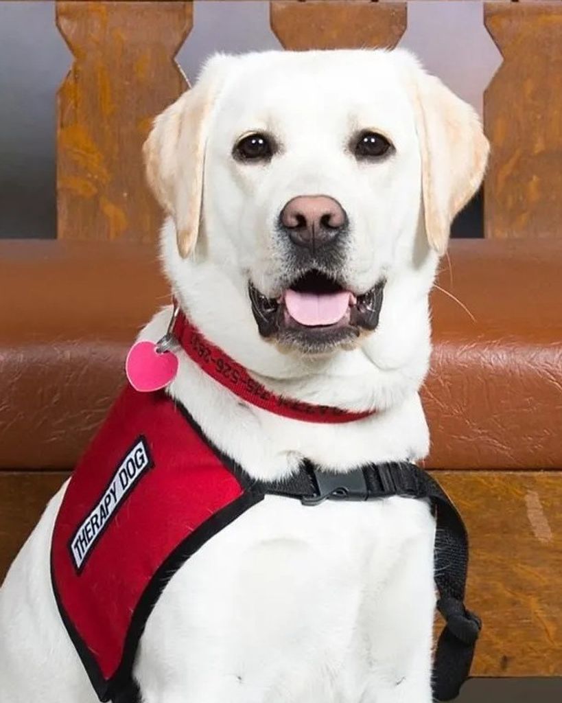 Dazzy Swedberg Profile Photo