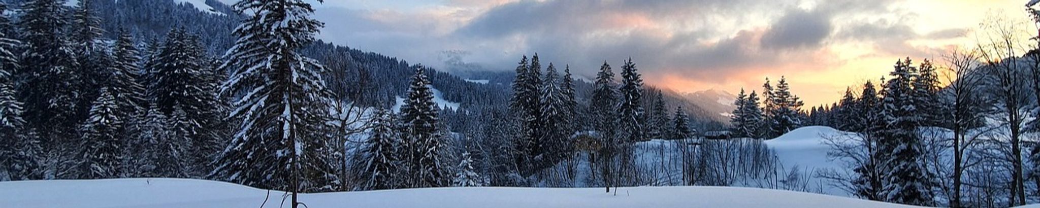 Cover for George Ringger's Obituary