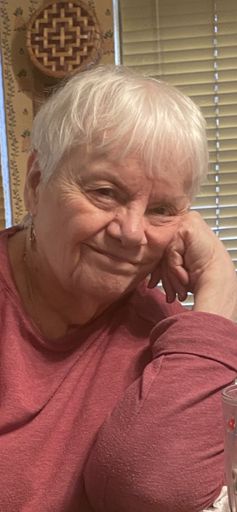 Nancy Ann (Vogrin)  Lichtenauer photo gallery thumbnail 10 of 10