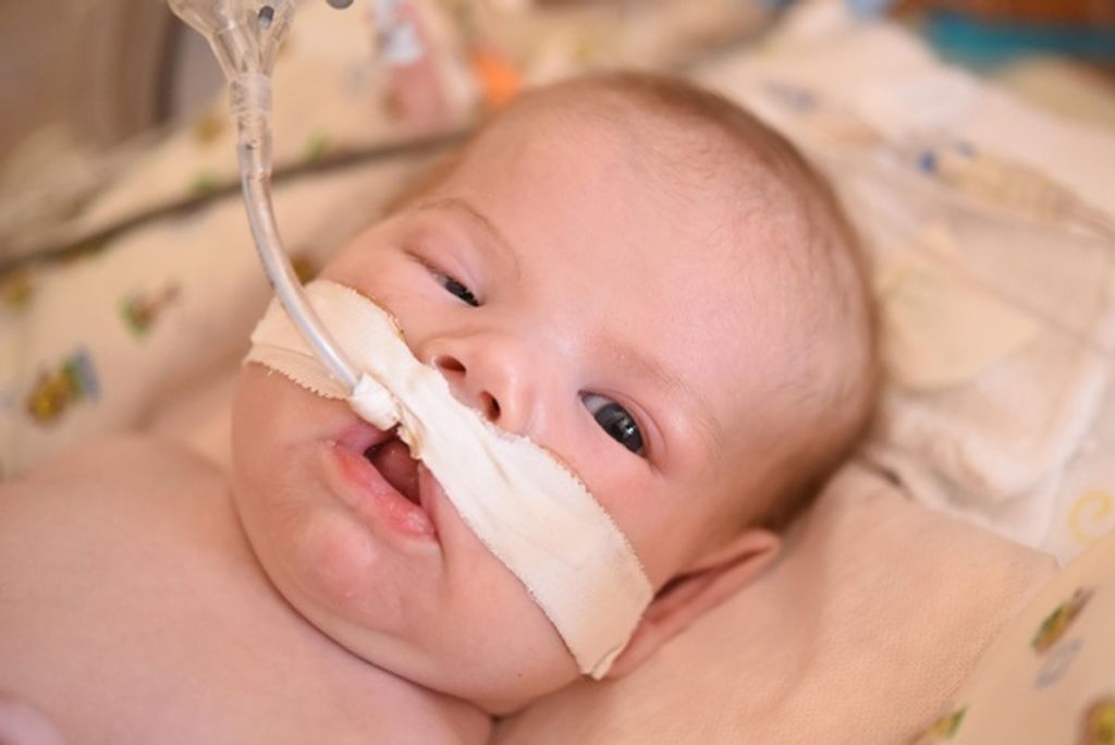 Gus Daniel Koenig Profile Photo