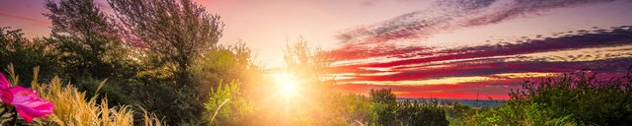 Cover for Wendell L. Weideman's Obituary