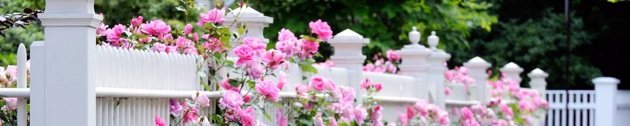 Cover photo for Cathy Jo Satter's Obituary