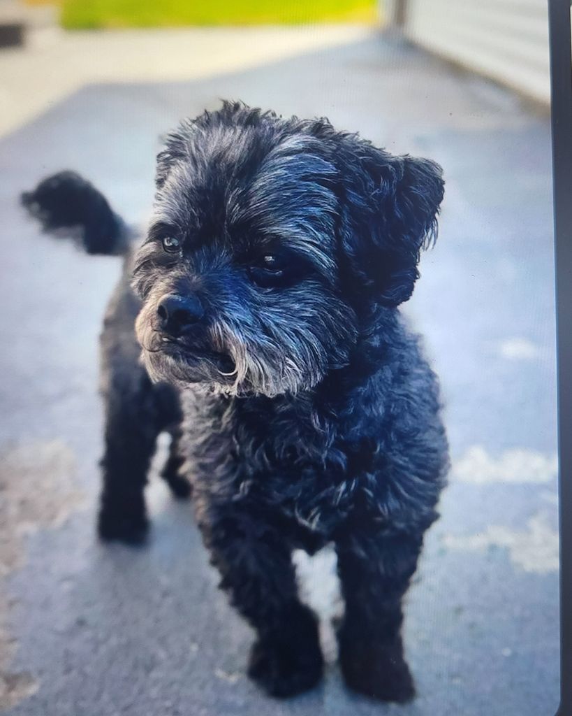 Tucker "Tutt Tutt" Stamper