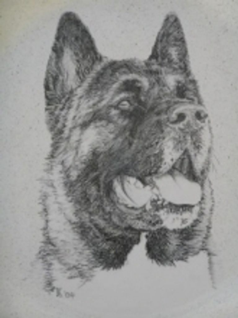 Tahoe Krieger Profile Photo