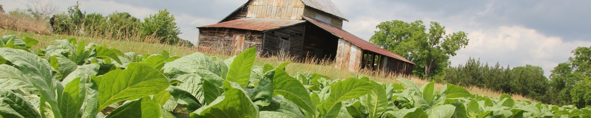 Cover for Gregory "Egg" Ring's Obituary