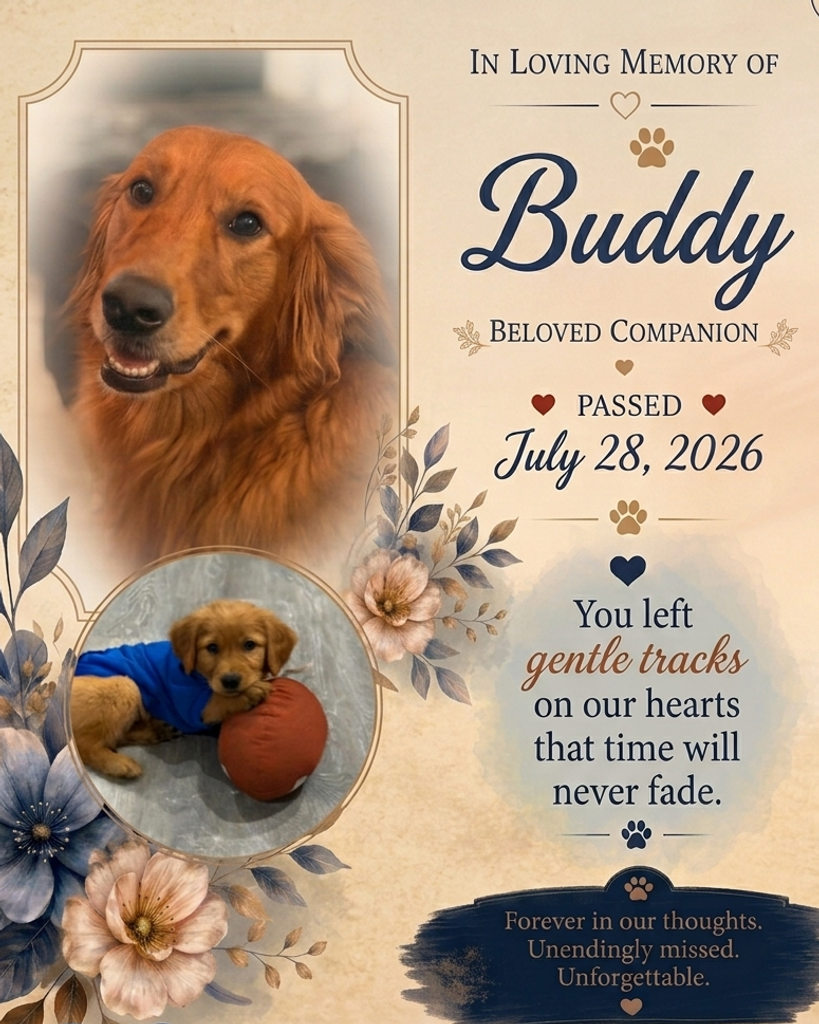 Buddy Profile Photo
